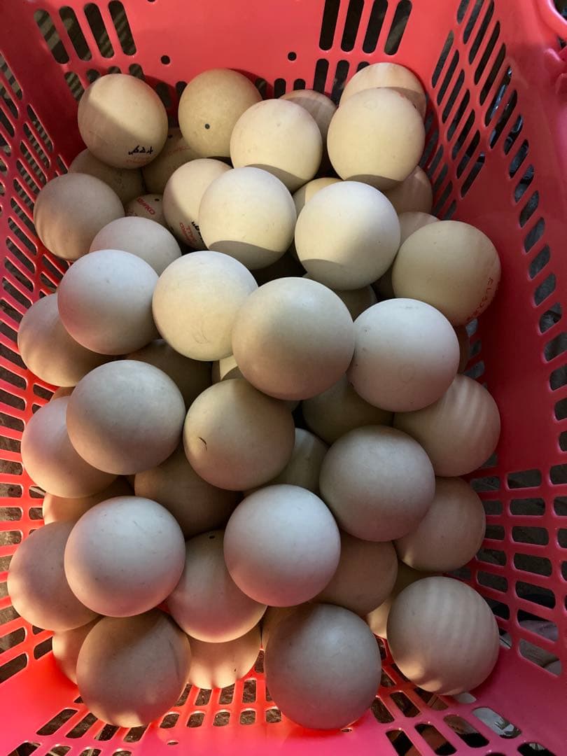 ソフトテニスボール 100球 ダンロップ公認球9割以上 ソフトテニス