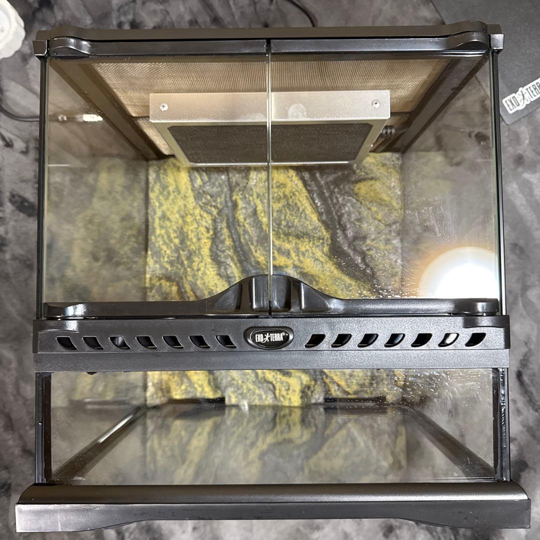 GEX EXOTERRA グラステラリウム3030 飼育ゲージ フルセット 91T9-AjxbfL._AC_UF350,