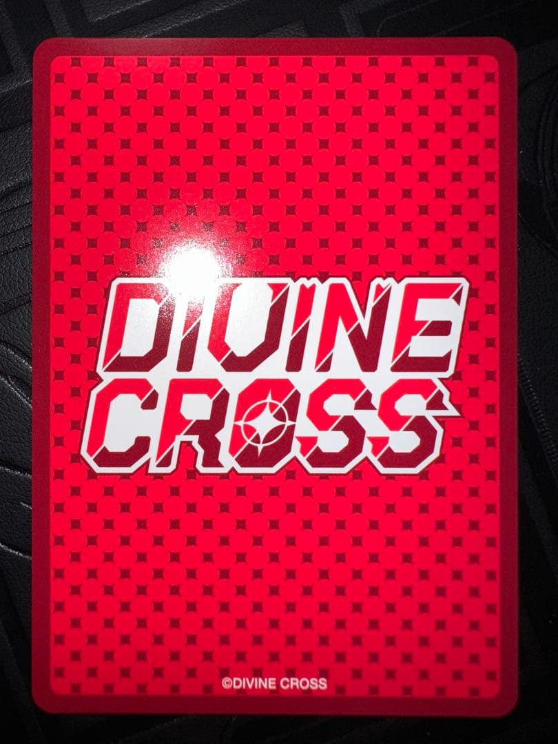 divine cross sec ビーチで海水浴　千羽　シリアル