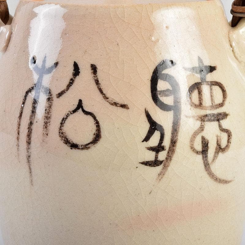 煎茶道具 京焼 河合瑞豊作 聴松茶注 土瓶 共箱 V R9224