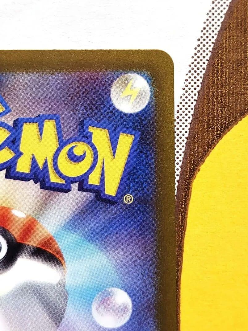 ゼイユ sar 130/101