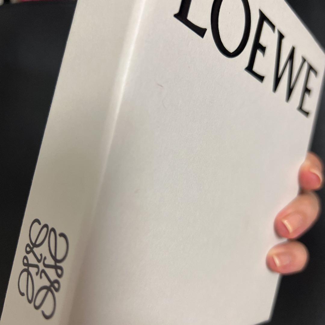 値下げ　【正規品】ロエベ ケース 黒【箱、巾着、バーコード付き】