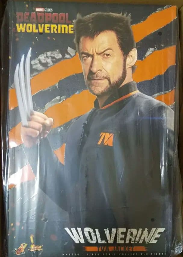 ホットトイズ MMS756 デッドプール＆ウルヴァリン(TVAジャケット版