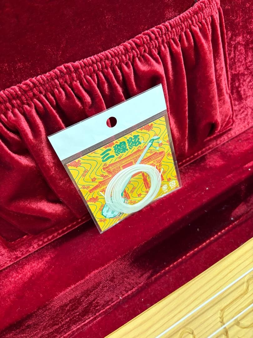 アイヌ トンコリ 初心者向け 専用ケース付き 替え弦入り 彫刻入り