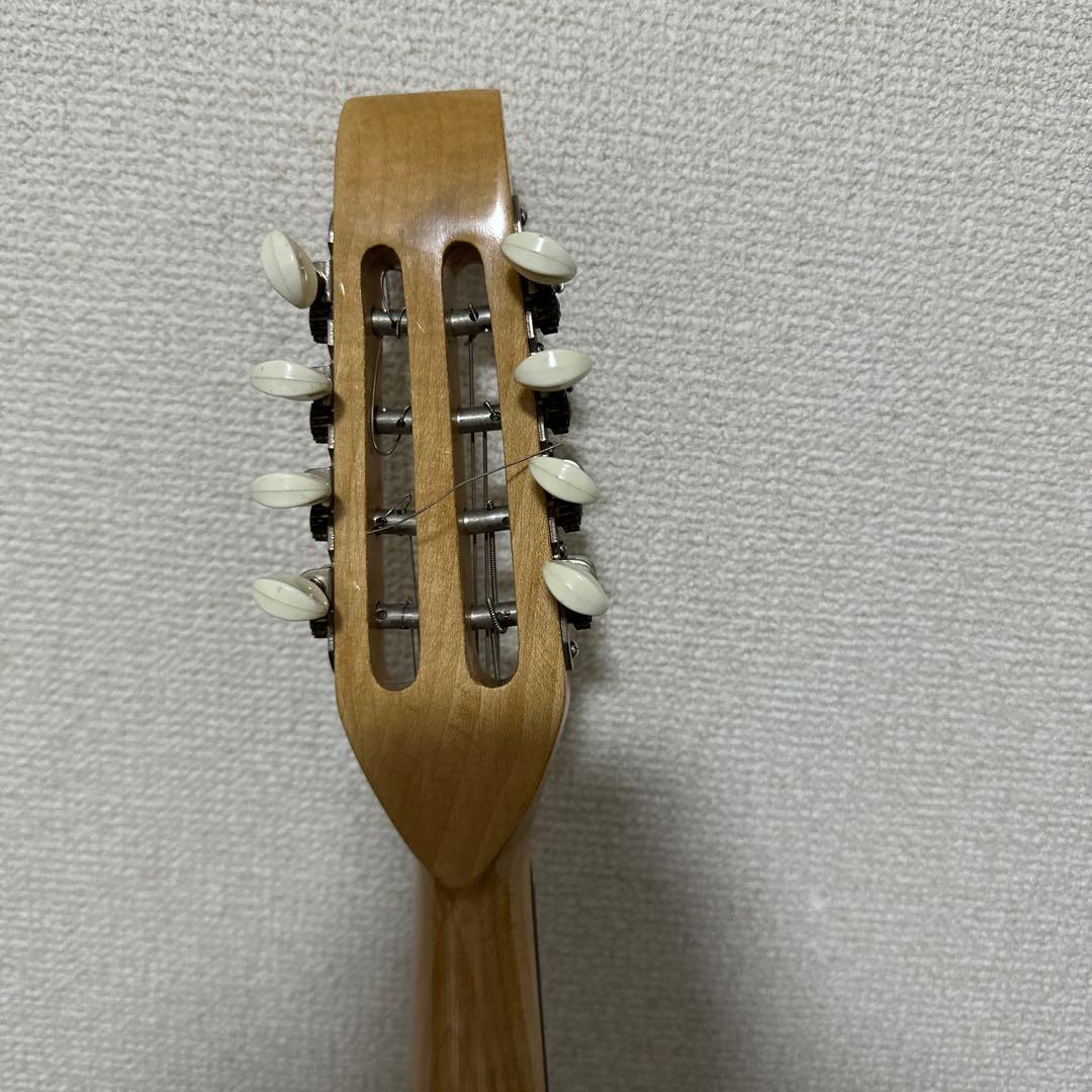 激レア! S.Watanabe No.250 マンドラ 弦楽器 ケース付属