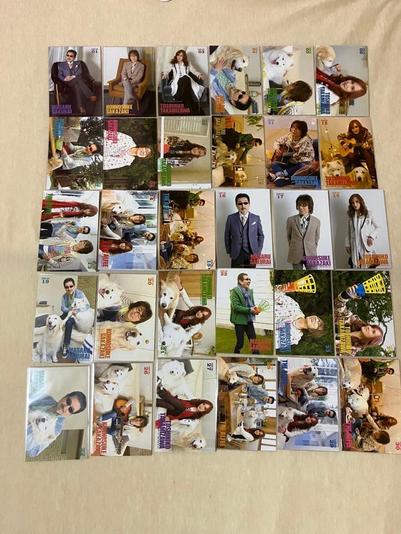 アルフィートレカ