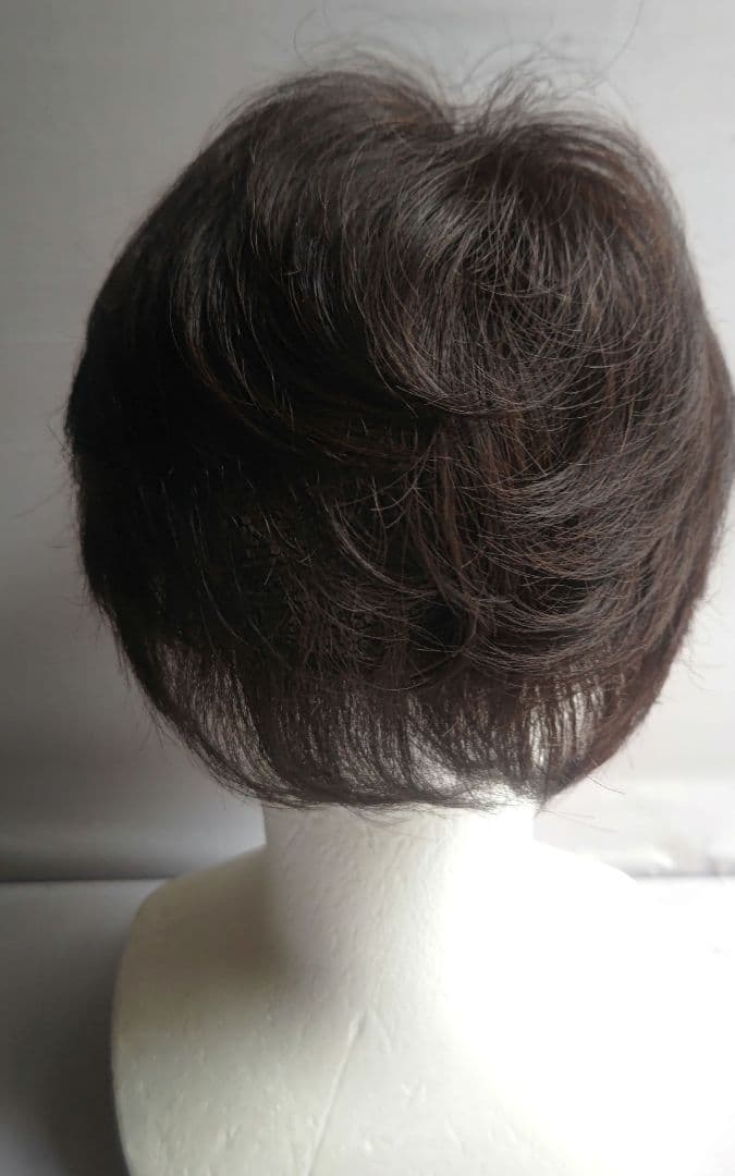 アートネイチャー　ジュリア・オージェ　ハーフウィッグ　さらら