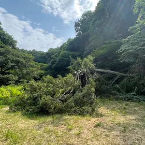 ドイツ軍 義手 第一次世界大戦 アンティーク 1920年代 - メルカリ