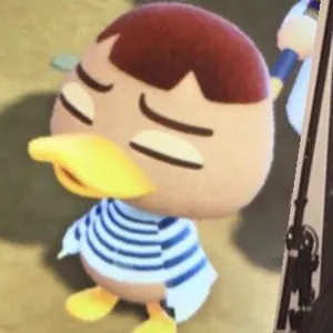 マルシィ ガチャ カプセルトイ 横浜アリーナ - メルカリ