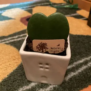 Da-iCE 花村想太NOsWEA スマホショルダー - メルカリ