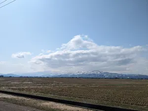 ヨドバシカメラ 2026年 ガンプラ マスターグレードの夢 - メルカリ