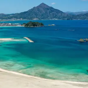 江戸時代 森徹山 真筆 水中鴨 掛軸 共箱付 茶掛 索丸山応挙 - メルカリ