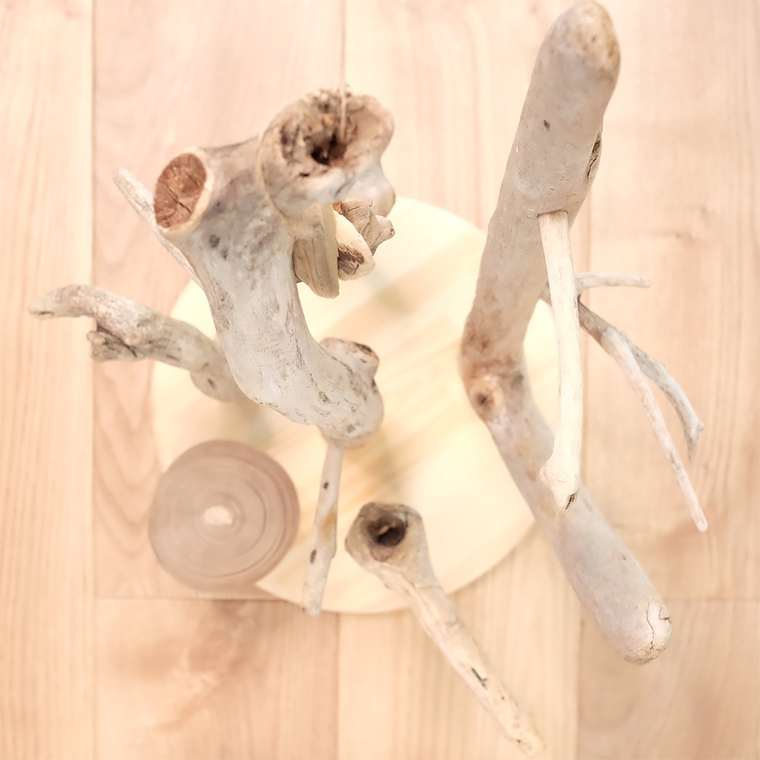 ハンドメイド 流木 バードアスレチック バードジム 流木インテリア