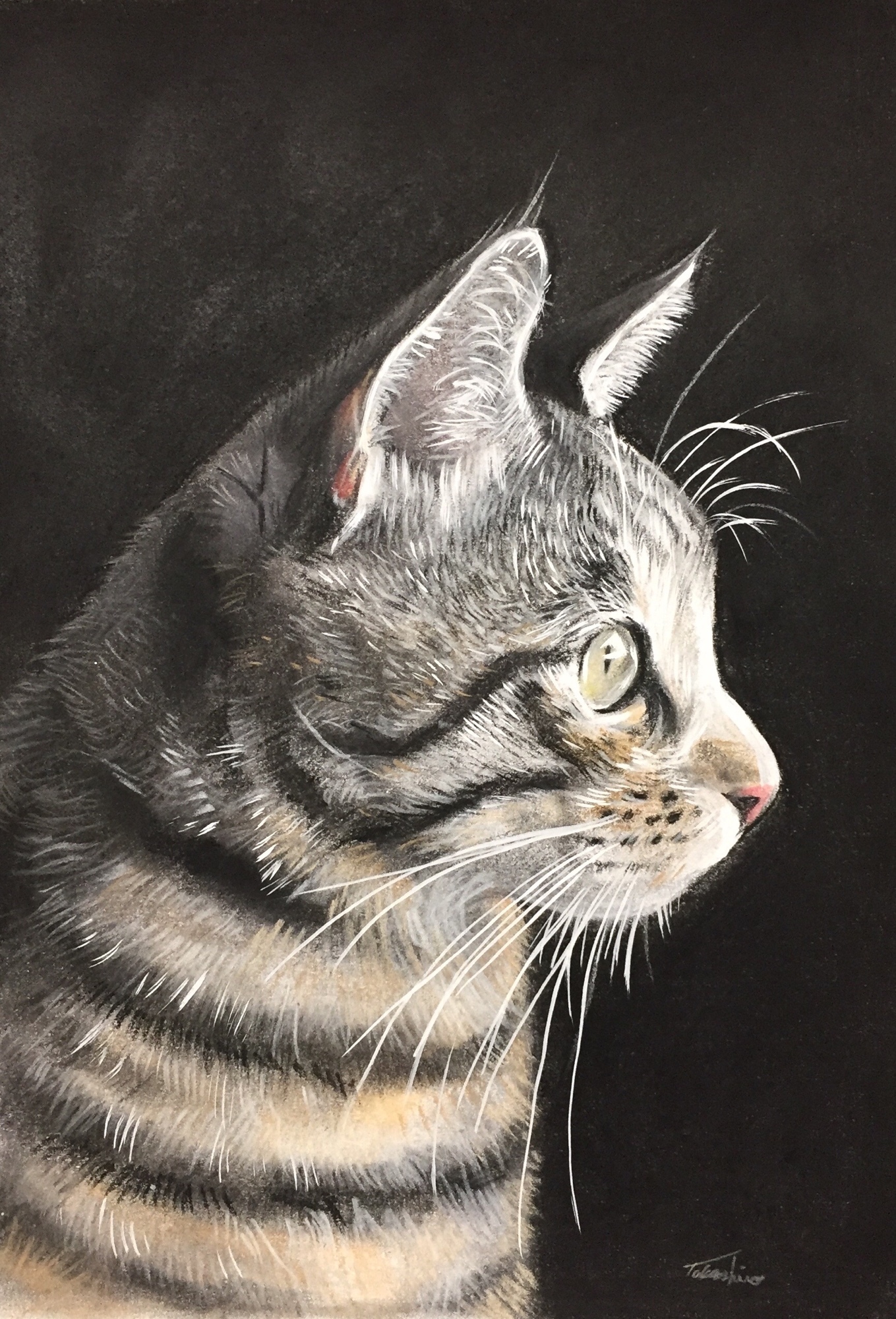 猫 猫の絵 絵画 手描き 原画 アクリル画 アート ドローイング 絵画