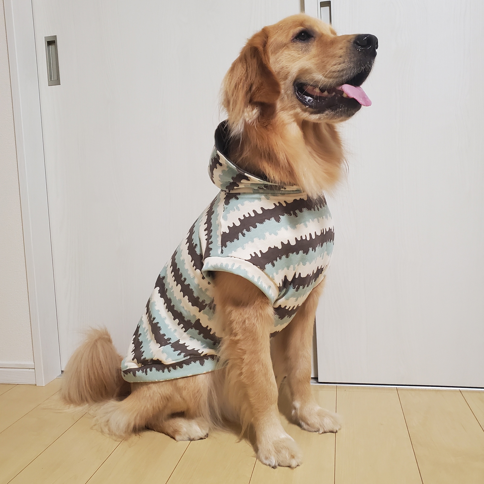 犬服ハンドメイド ポップコーンミントスカート付きSサイズ