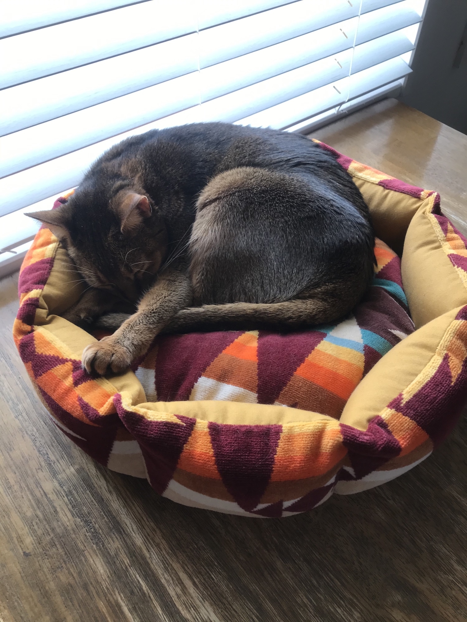 ペットベッド ペンドルトン リメイク 猫ベッド 犬ベッド169 - KIBI32'S