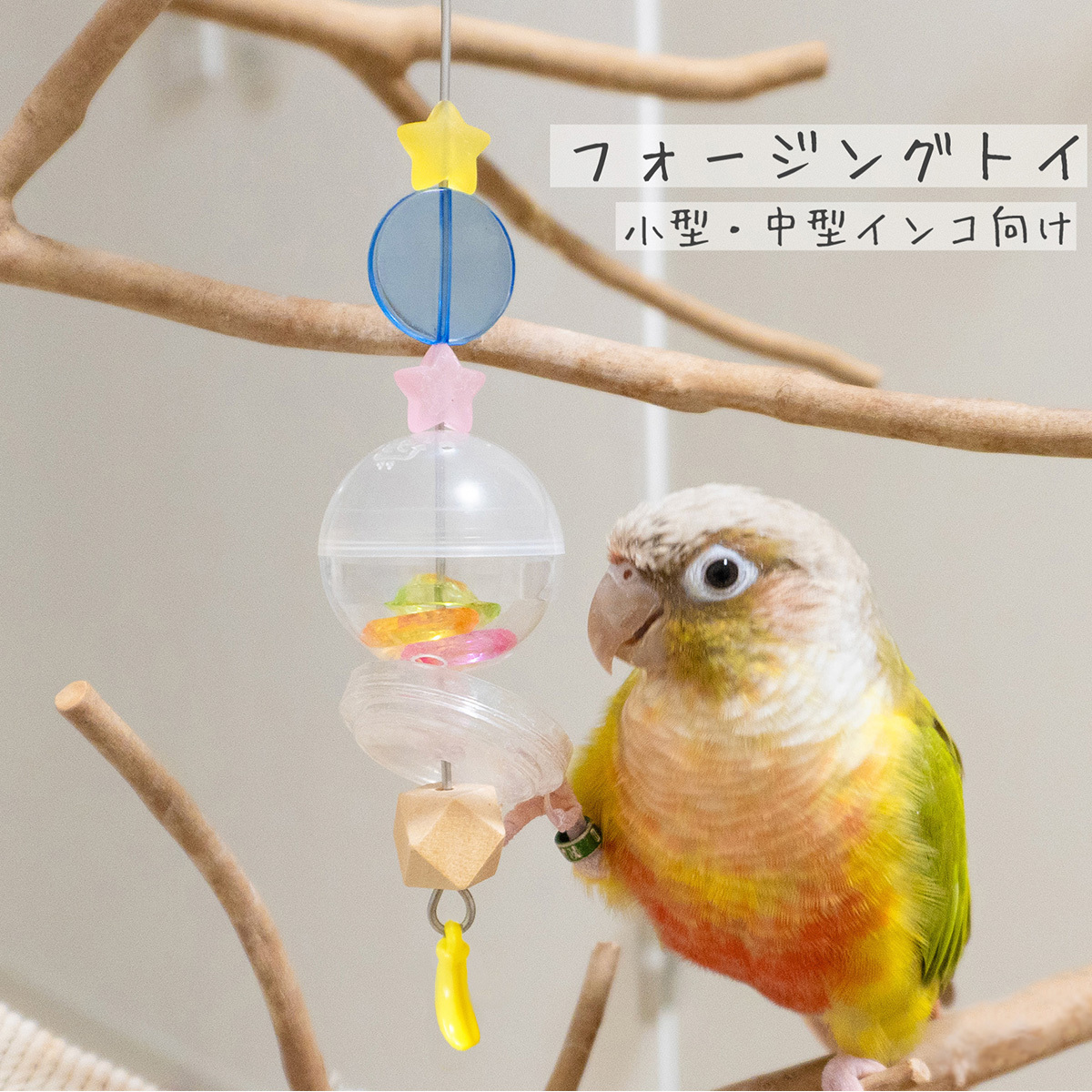 インコ 鳥 おもちゃ/フォージング・ホイール GEN II : 鳥グッズの店