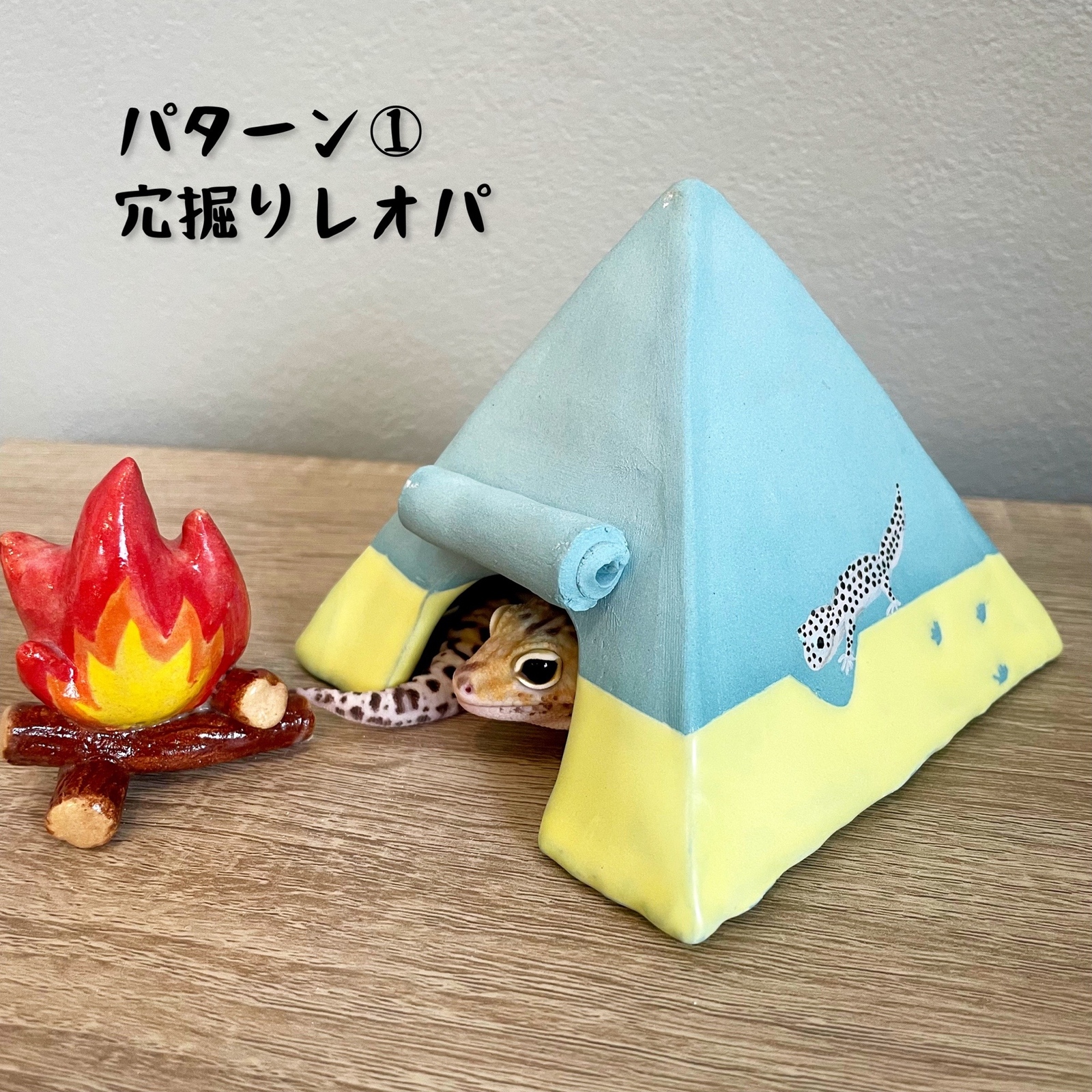 テント型爬虫類シェルター - KAMEKKO | minne byGMOペパボ 国内最大級