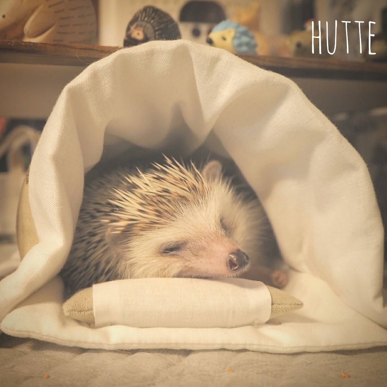 ハリネズミのお布団 XLサイズ 【black】ハリネズミ柄 - hutte's