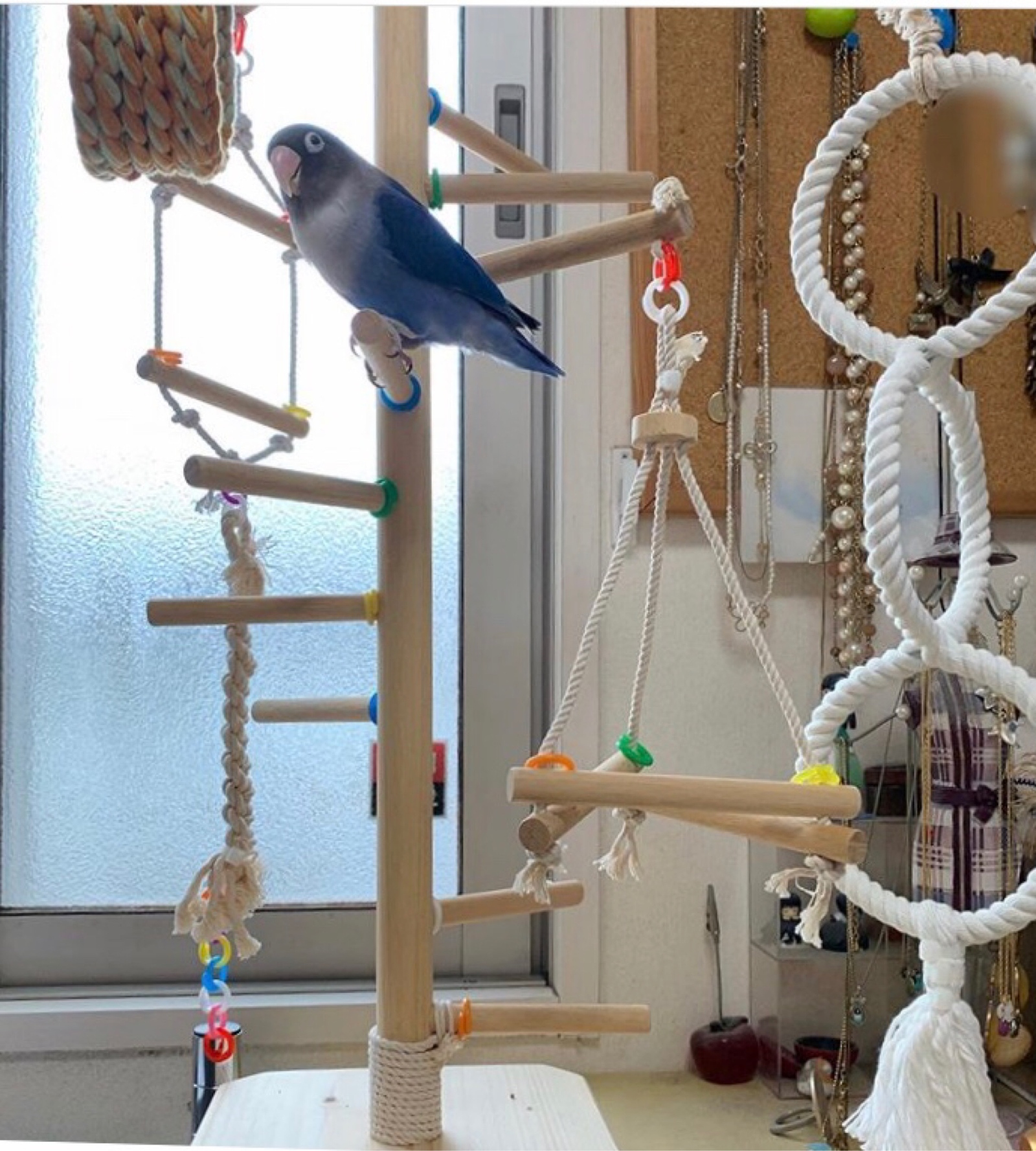 バードアスレチックジム大型 ㊺ 天然木 自然木 流木 インコ おもちゃ