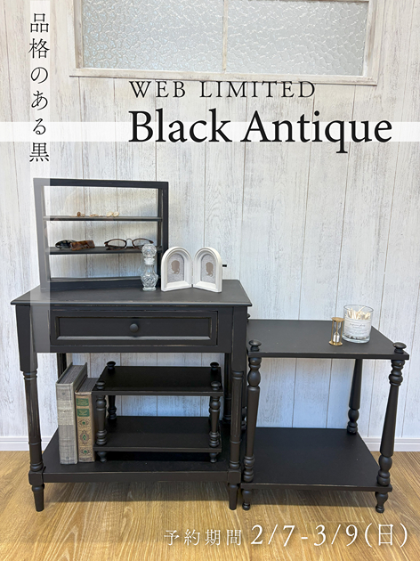 salut サリュ ゴシック ガラスキャビネット ブラック Salut! サリュ