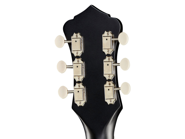 トップ単板）RECORDING KING RPS-9-TS RECORDING KING