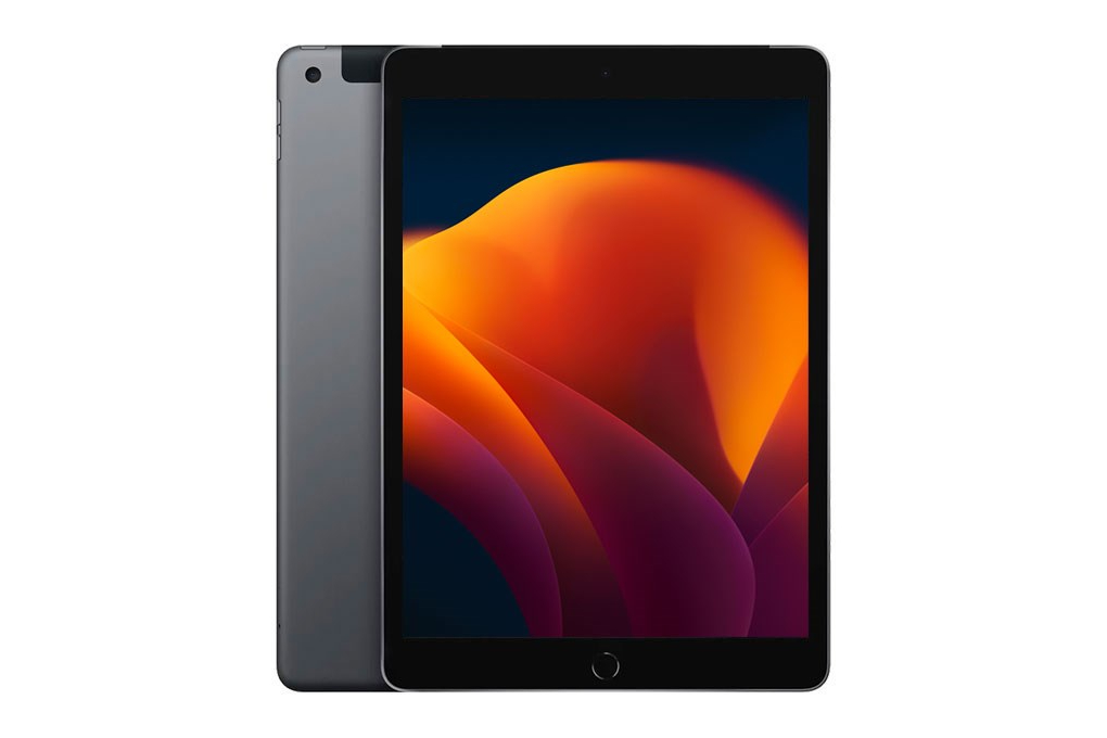 iPad 10.2インチ 第9世代[256GB] Wi-Fiモデル スペースグレイ … iPad