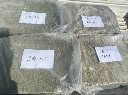 2番刈りプレミアムチモシー30kg | saitamaasobi バンブーパーム