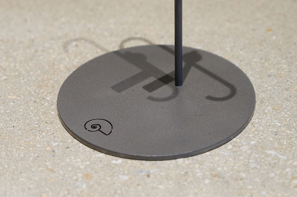 商品紹介】メガロドンの歯の実物化石（新生代新第三紀、アメリカ