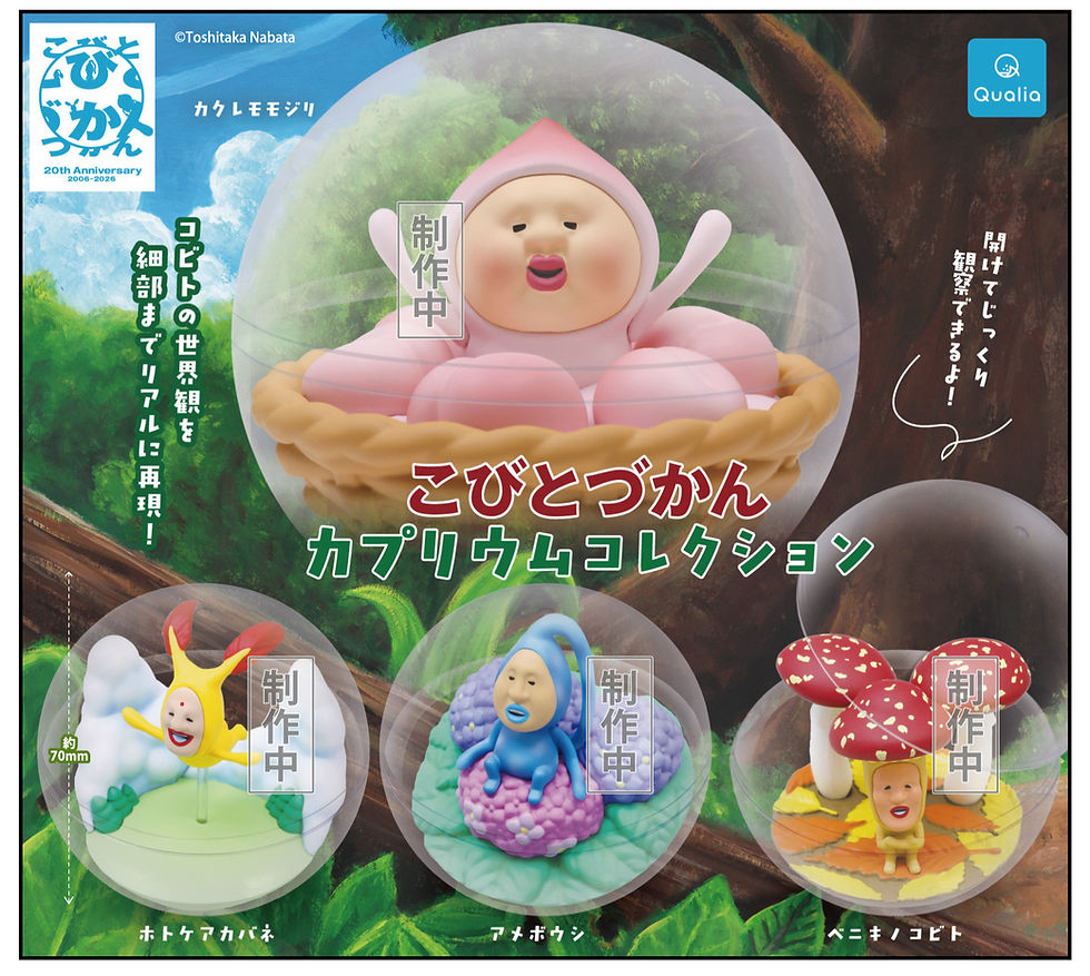 こびとづかん一番くじ37点⭐︎フルコンプ⭐︎ 一番くじ こびとづか