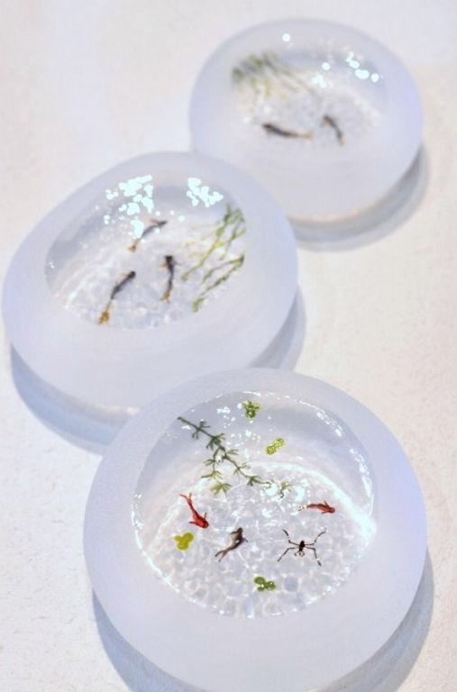 久保裕子さん作ガラスザリガニ魚水草ペーパーウェイト文鎮オブジェ