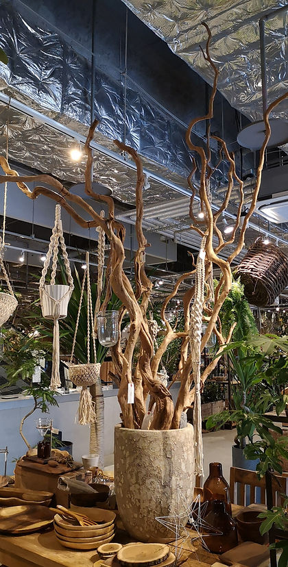 超大型流木アート オブジェ/生け花インテリア置物/.盆栽ガーデニング