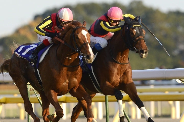 ジェンティルドンナ オルフェーヴル 2012年ジャパンカップ A1ポスター