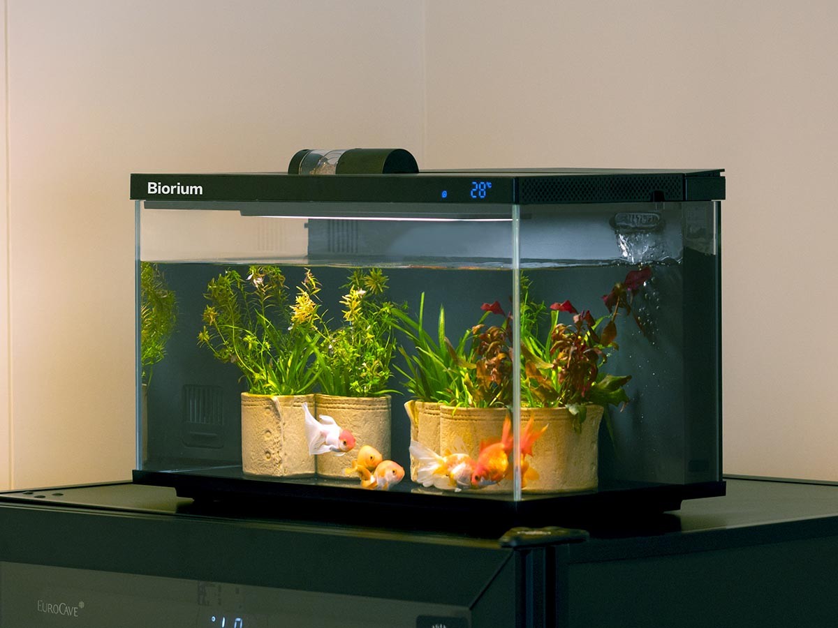 Biorium Biorium Smart Aquarium / ビオリウム ビオリウム スマート