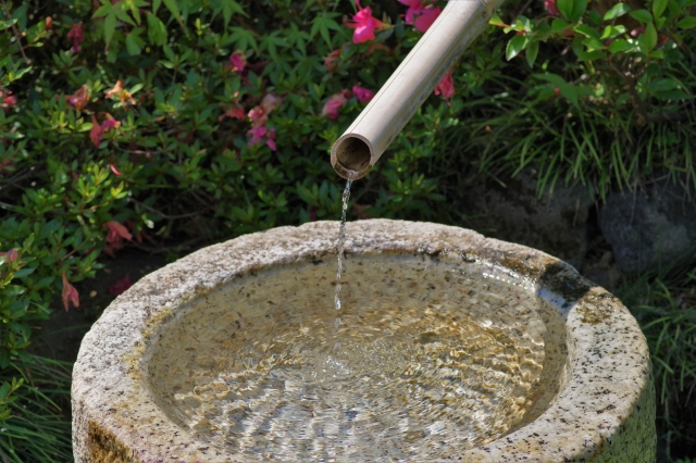 伊賀の蹲 伊賀の蹲 fit=scale-down,w=1200