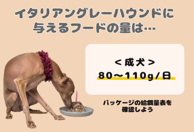 ELMOドックフード＊内容量確認してください