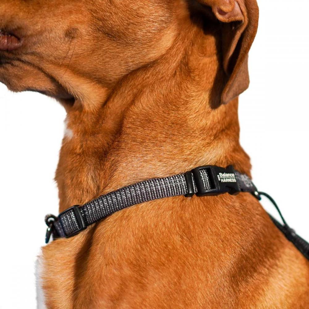 ハーネス 犬 リフレクティブバランスハーネス XS-Lサイズ 全3色 Blue-9