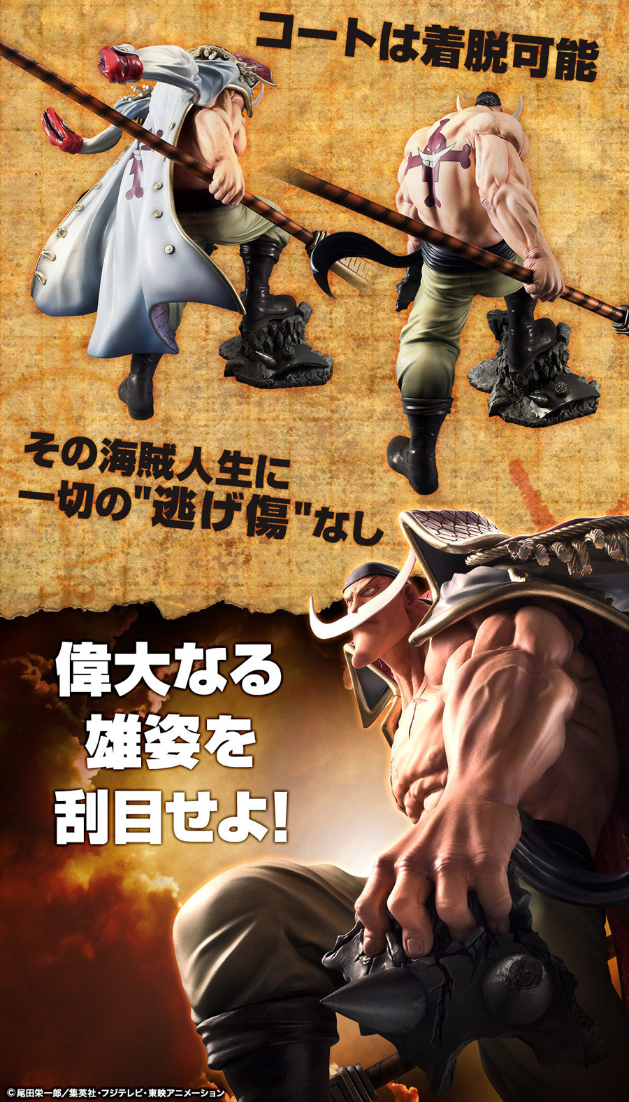 p.o.p 黒ひげ 雨のシリュウ セット フィギュア 翌日発送 シリュウ POP