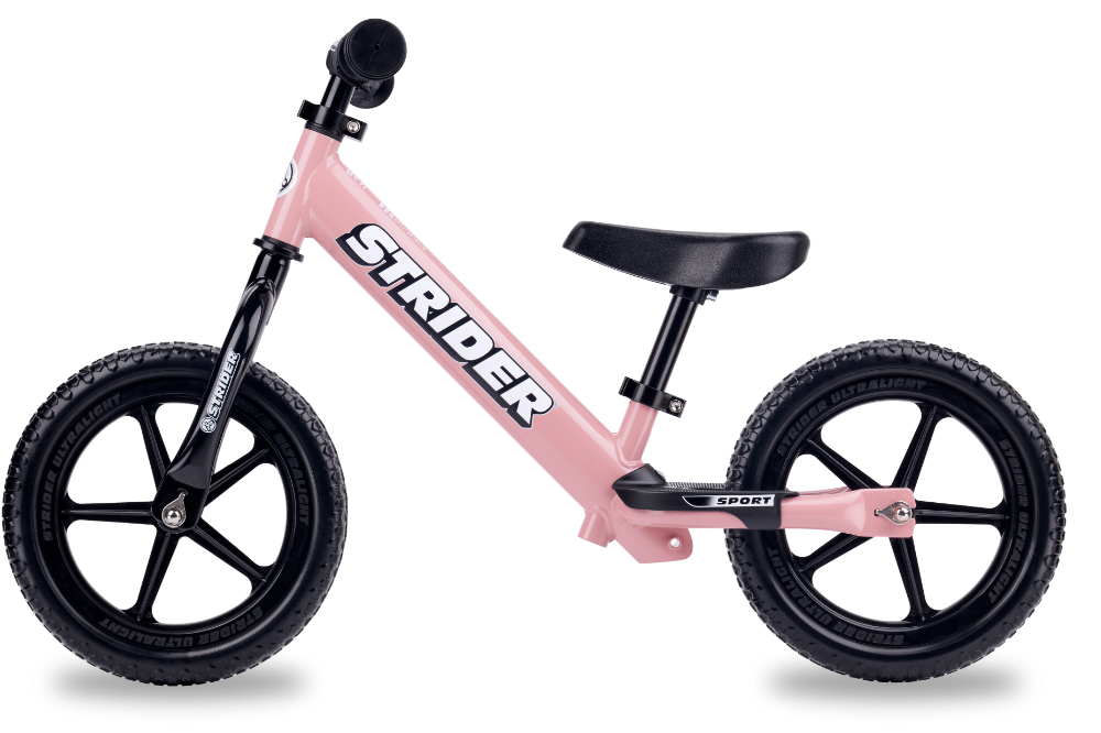 STRIDER 限定モデル ハイスタコラボ ☆超レア！Hi-STANDARD限定モデル