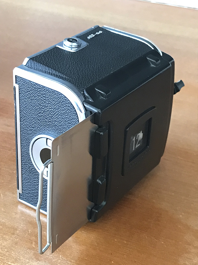 フィルムマガジン『A12』 – Studio Hishiki