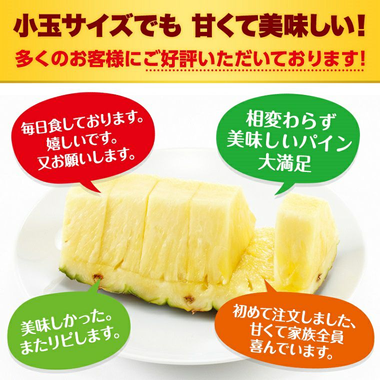 葉無し小玉 甘熟王パイン 7玉 | スミフルの美味しいマルシェ