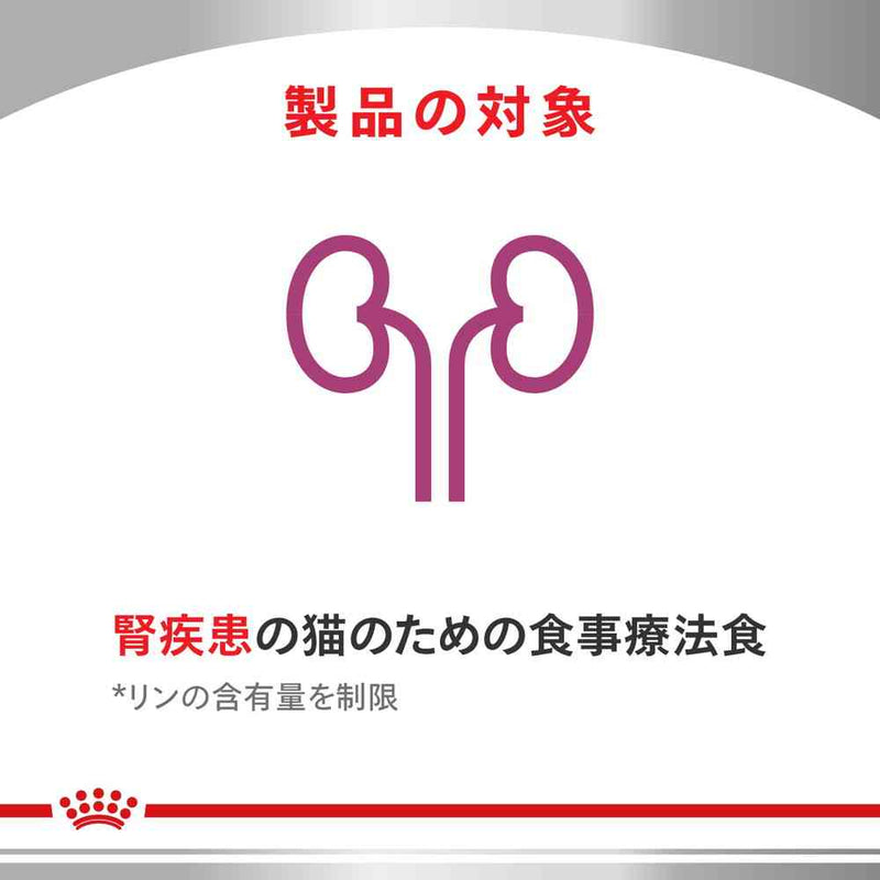 猫用 腎臓サポート スペシャル 2kgx1