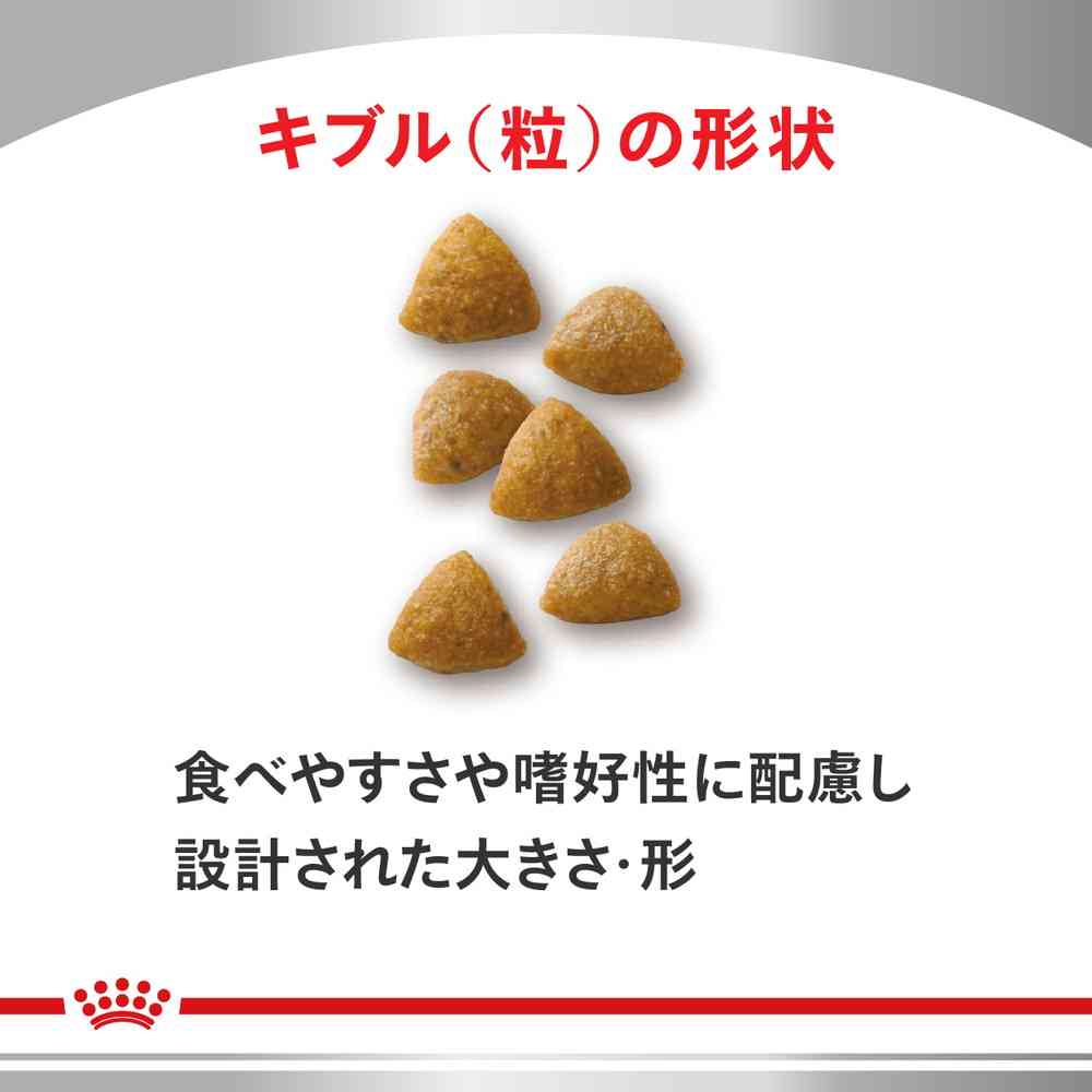 猫用 腎臓サポート スペシャル 500gx1