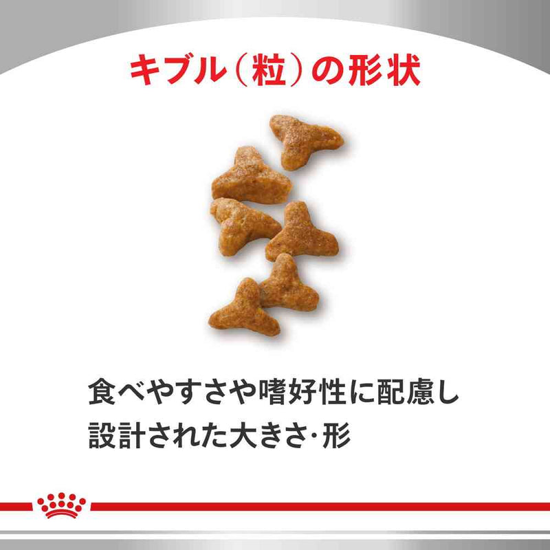 猫用 消化器サポート(可溶性繊維)2kgx1