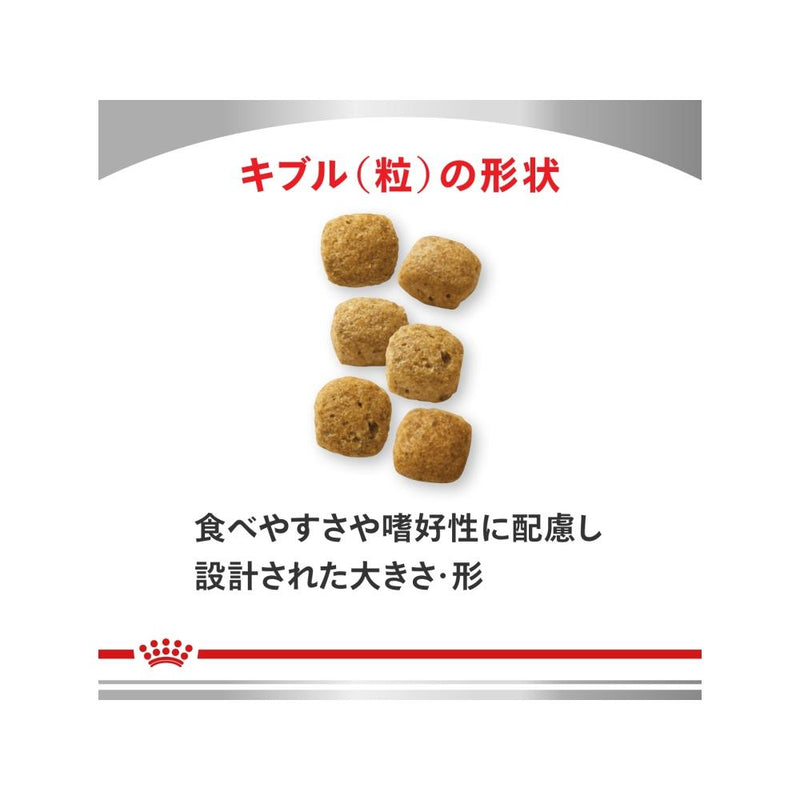 犬用 消化器サポート(低脂肪) 3kgx1