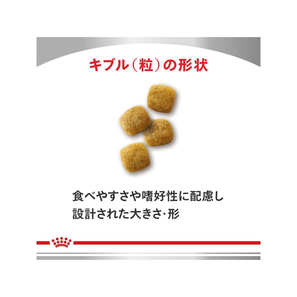 犬用 腎臓サポート 8kg