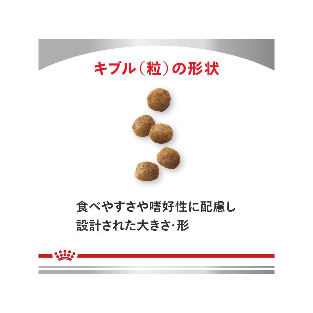 犬用 腎臓サポート 小型犬用S 3kg