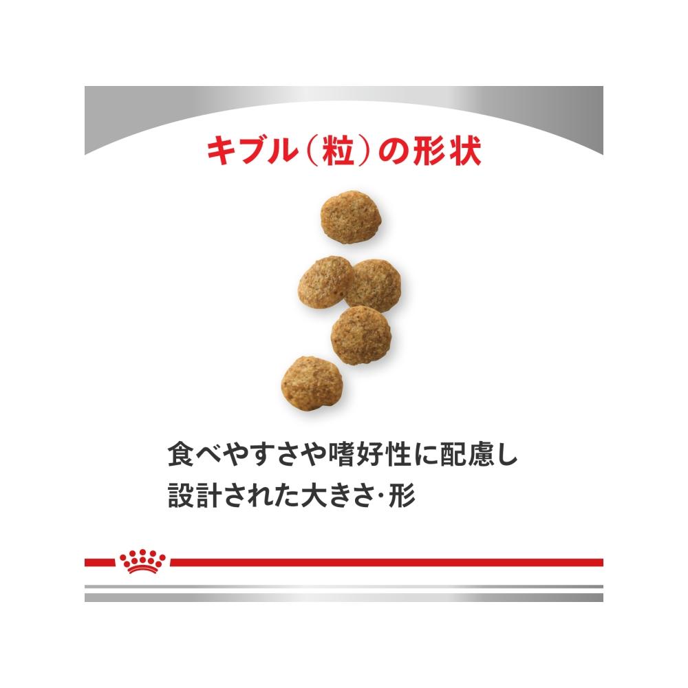 犬用 消化器サポート 低脂肪 小型犬用S 3kg