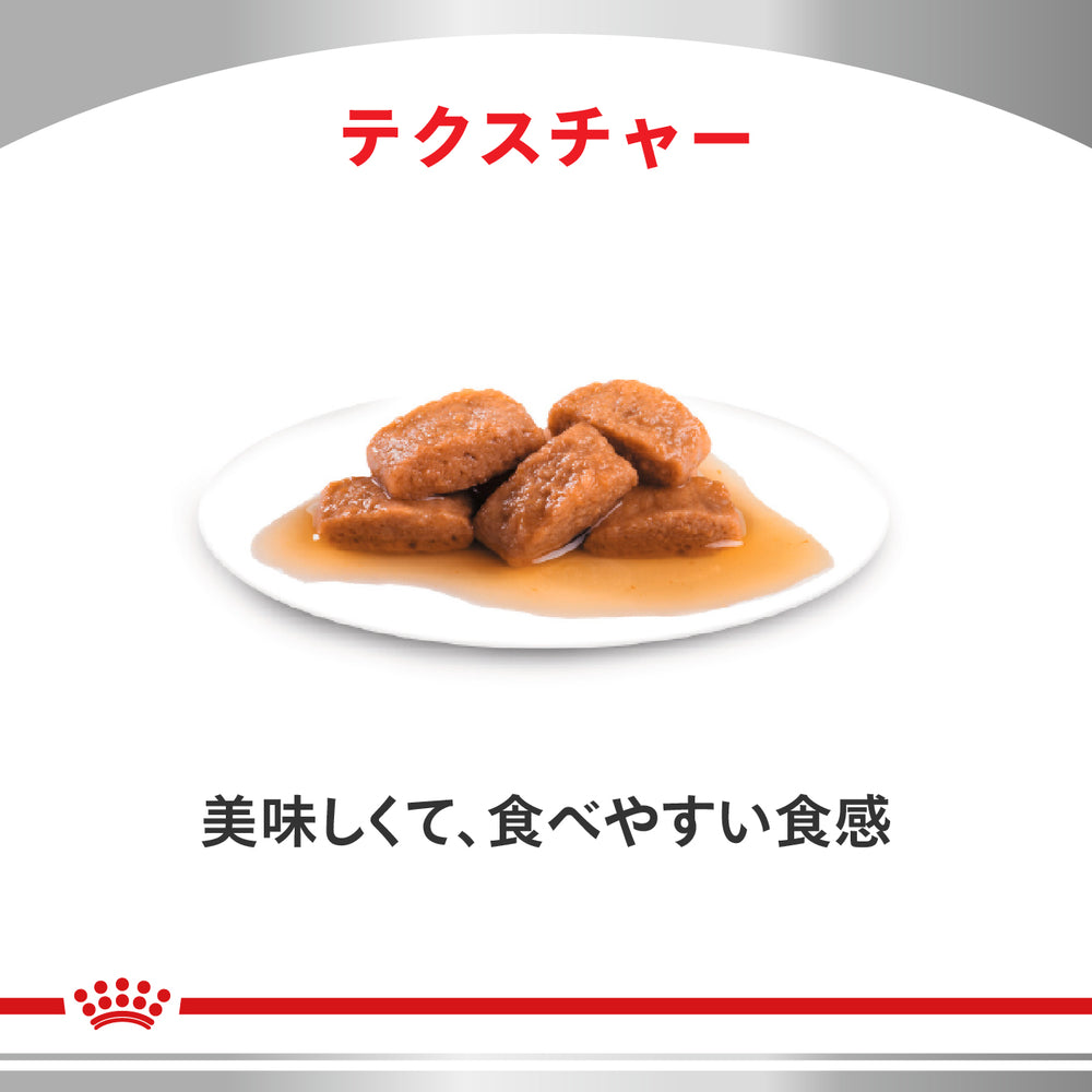 猫用 消化器サポート 可溶性繊維 85gx12x2