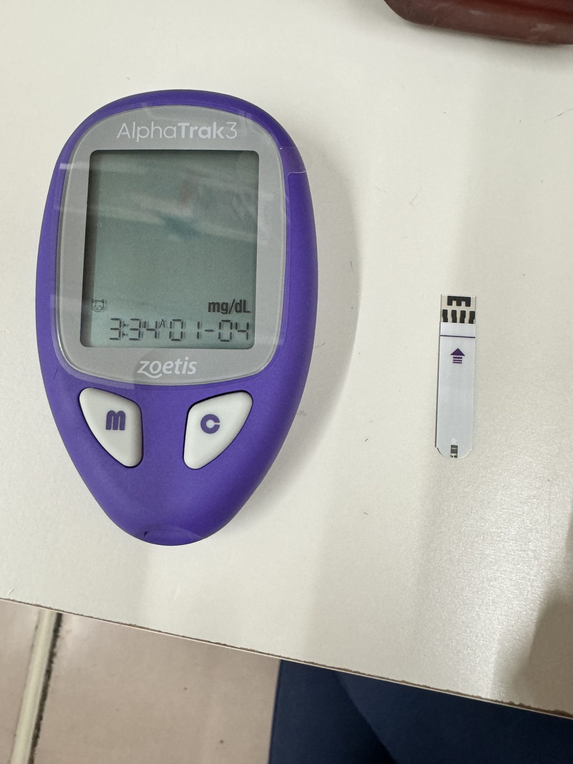 自宅でLets'採血！ | 末広動物クリニック｜徳島市